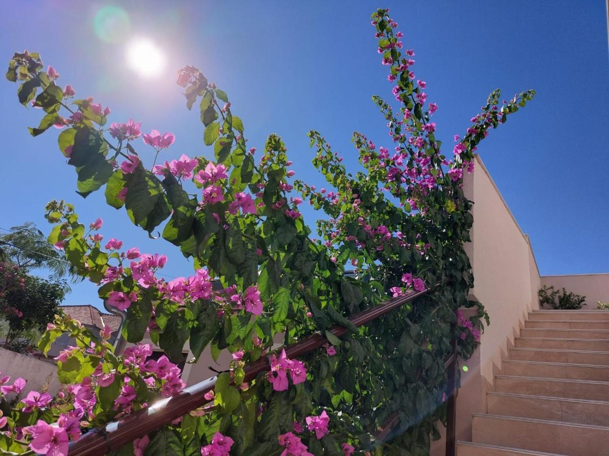 Apartments Lavanda - Free Parking And Grill Jezera Exterior foto